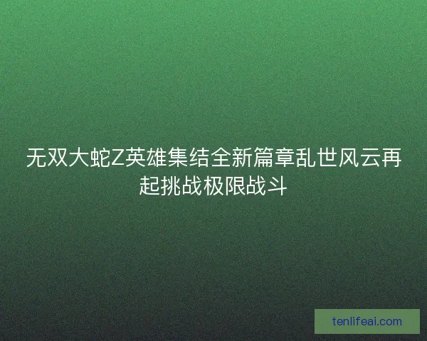 无双大蛇Z英雄集结全新篇章乱世风云再起挑战极限战斗