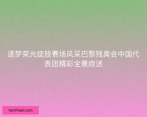 逐梦荣光绽放赛场风采巴黎残奥会中国代表团精彩全景综述